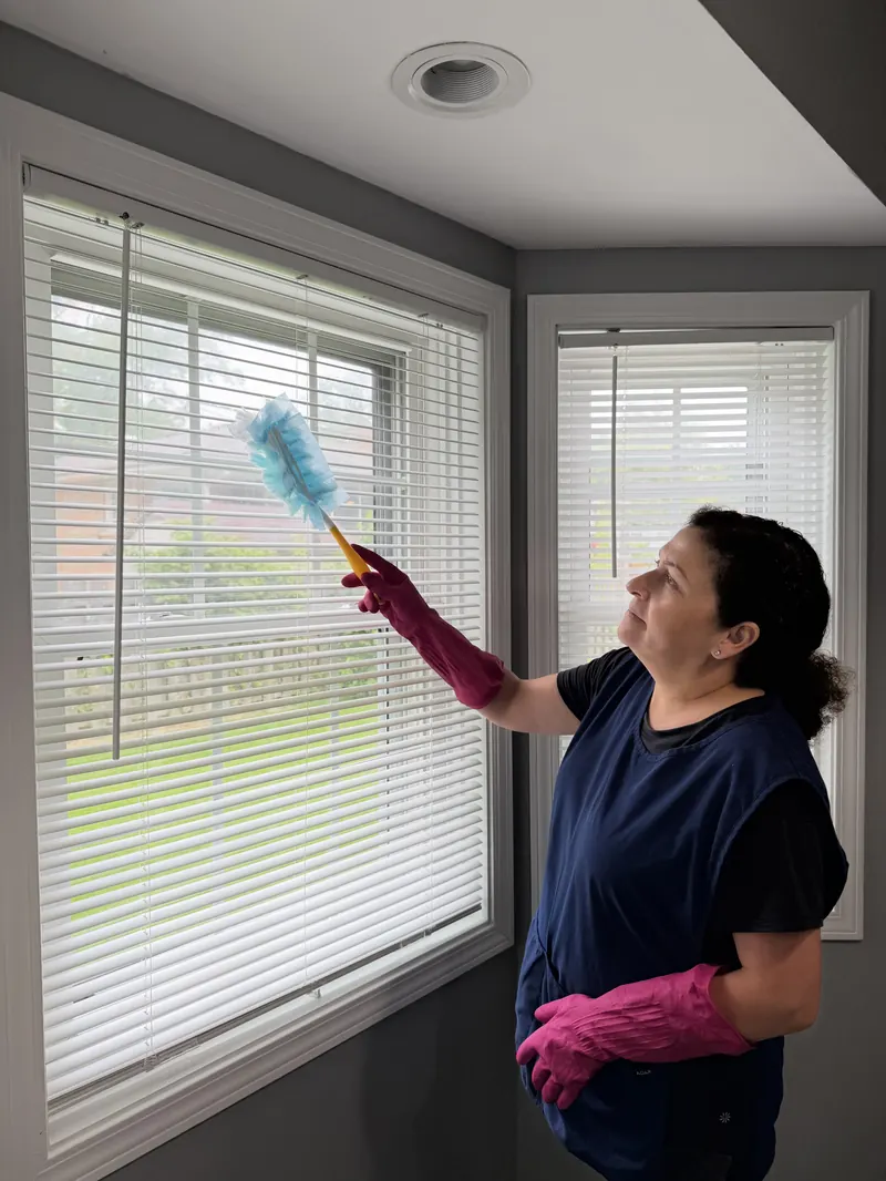 Lore dusting window blinds